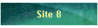 Site 8